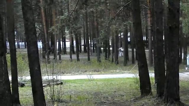 Дезинфекционная обработка лесной зоны смотреть онлайн