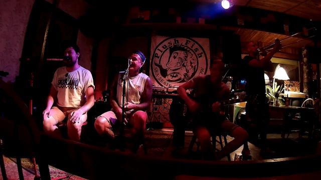 Plush Fish - Видели ночь (Кино cover) @ Quick bee bar Севастополь 2015 смотреть онлайн