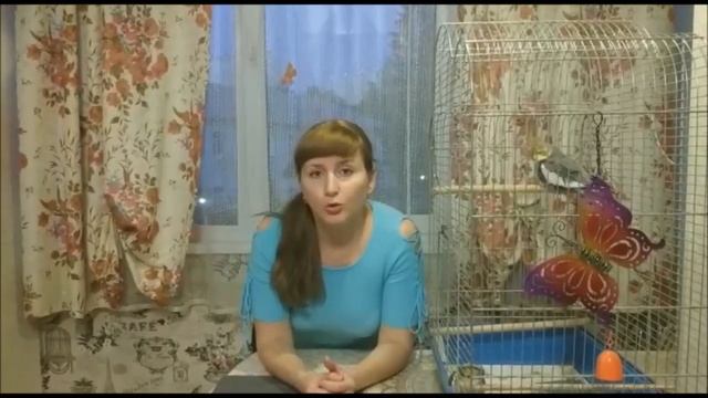 Испанский на канале "Puerta del Sol". Артикли. Часть 1. смотреть онлайн