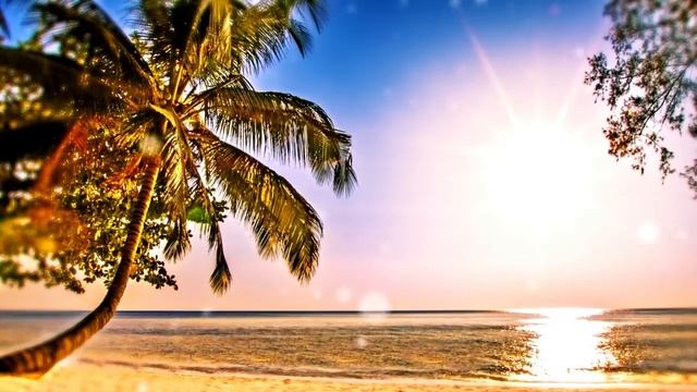 សូត្រធម៌ឲ្យអ្នកជិតស្លាប់ | SAN SOCHEA OFFICIAL смотреть онлайн
