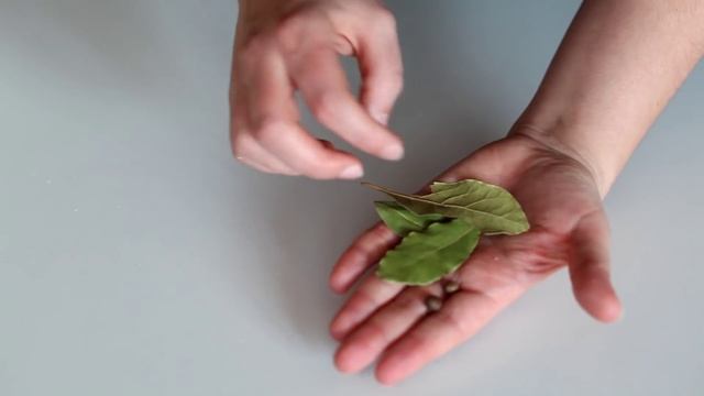 Zakwas Na żurek Przepis