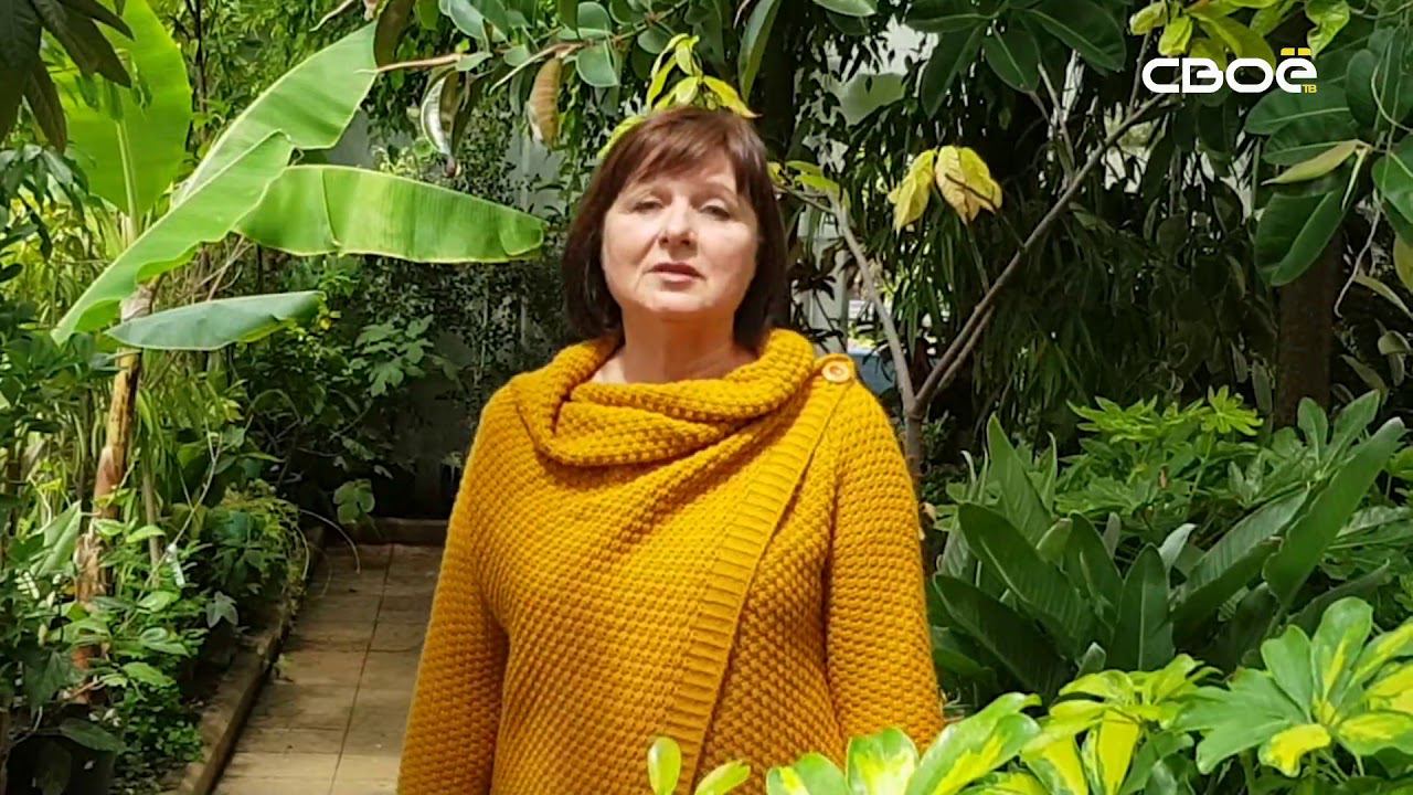 Ставропольский ботанический сад провёл первую онлайн-экскурсию смотреть онлайн