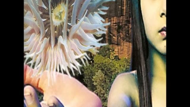 Future Sound Of London - Spineless Jelly смотреть онлайн