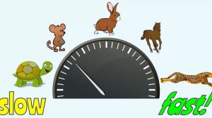 Family Members Song for Kids! - ESL English Learning Song