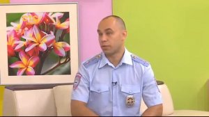 Пешеходы в дорожном потоке