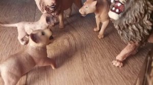 сериал жизнь Львов 1сезон 1серия.