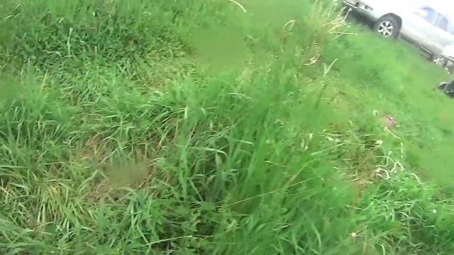 ПОЕЗДКА НА ОЗЕРО Веслуг . ПЕНО смотреть онлайн