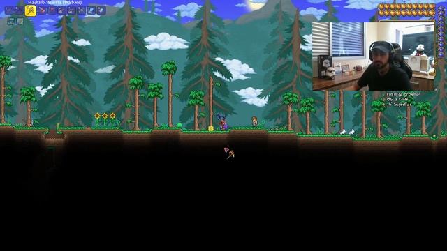 Terraria - Como utilizar o Cursor Inteligente - Leandro Bull смотреть онлайн