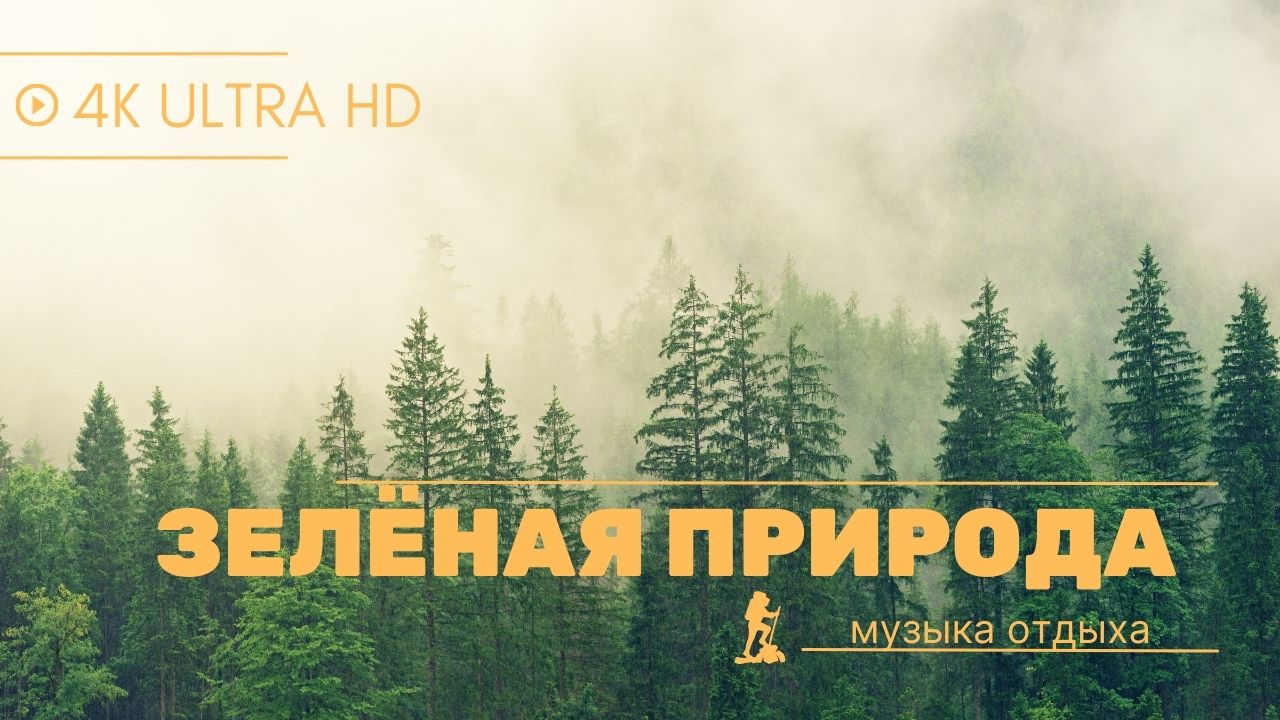 Зелёная природа Бали 4к смотреть онлайн