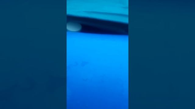 обогрев воды в бассейне ? смотреть онлайн