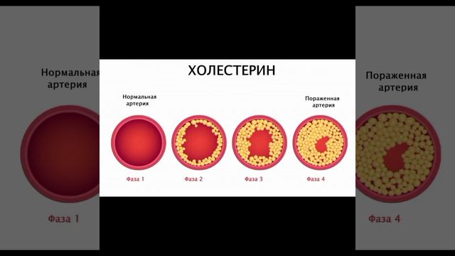 Что будет есть фркуты овощи каждый день