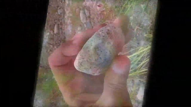 Какой прикольный камушек 17 смотреть онлайн