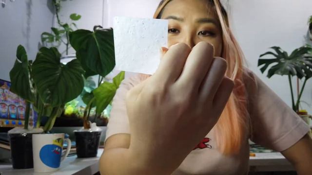 Wild Eartha Plant unboxing смотреть онлайн