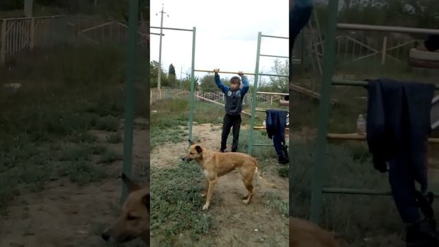 Делаем разные трюки смотреть онлайн