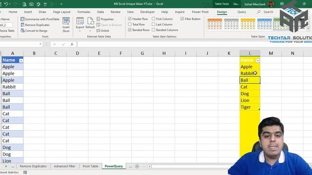 Extract unique items from a list in excel – 06 Techniques смотреть онлайн