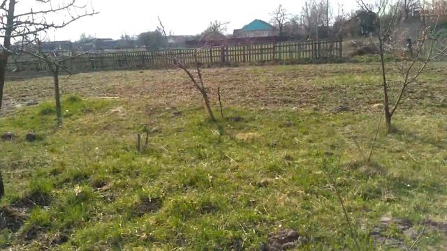 Весняна побілка дерев фарборозпилювачем смотреть онлайн