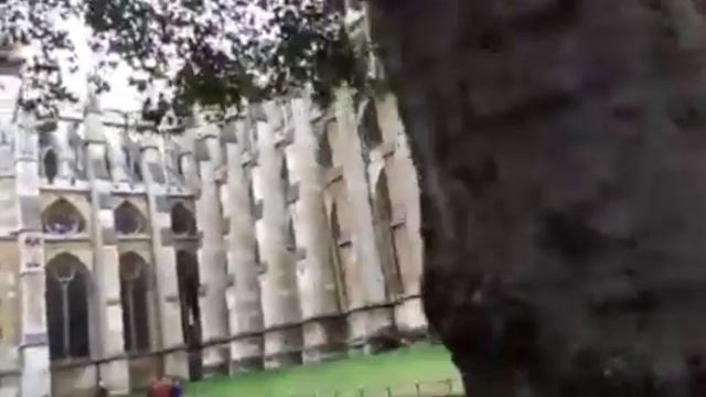 Неделя в Лондоне. Деь 2. Биг Бен и Вестминстерское Аббатство смотреть онлайн