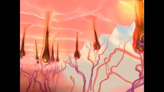 Эпиляция смотреть онлайн