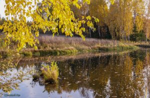 Осенняя природа Удмуртии..mp4