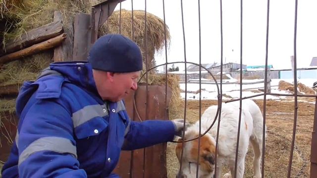 Бажениты готовятся к весеннему паводку обзор работ хозяйство смотреть онлайн