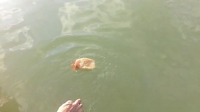 Рыба на озере Сукко смотреть онлайн