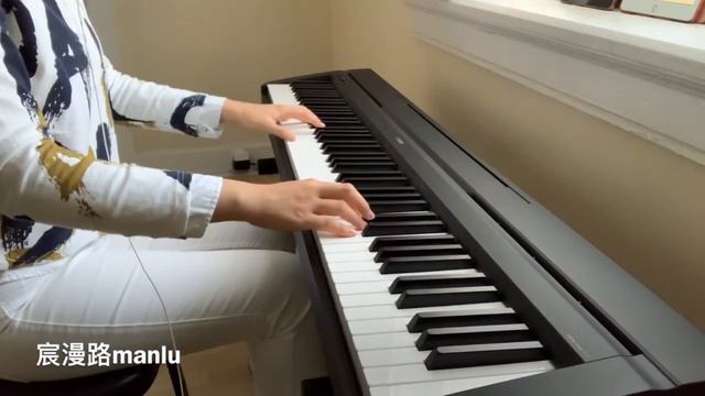 Yi Jian Mei(xue hua piao piao) | One Plum Blossom Piano Cover - Fei Yu Ching 钢琴曲《一剪梅》费玉清 смотреть онлайн