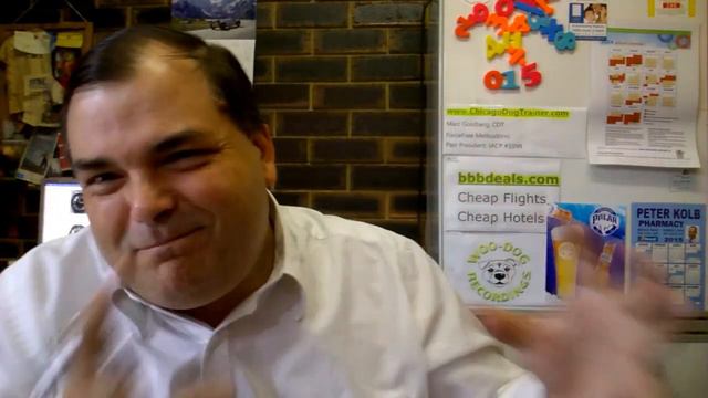 ARCHIE SPEAKS - The WatchCo Omega - Good, Bad Or Ugly?