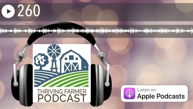 260 смотреть онлайн