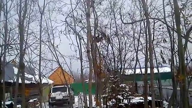 дачная белка смотреть онлайн