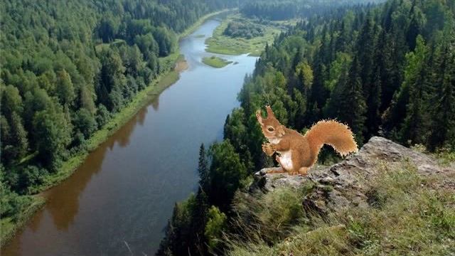 Физминутка "Наш Край Красноярский - ты сердце России...!" смотреть онлайн