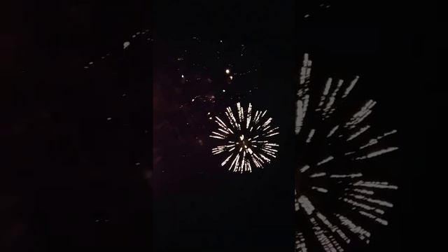 салютстер спутник (извиняюсь за крики тупых людей и советую повернуть экран влево) смотреть онлайн