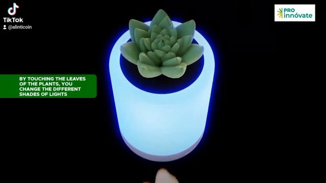 Alinti Bro, lámpara que genera luz eléctrica mediante fotosíntesis, cofinanciada por ProInnóvate смотреть онлайн