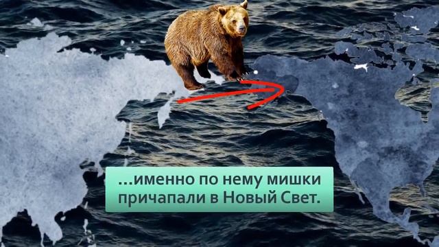 Кадьяк . Крупнейший подвид бурого медведя . Полтонны ярости. смотреть онлайн