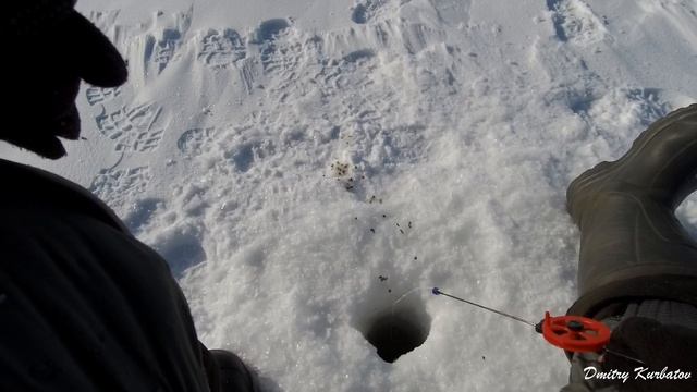 Рыбалка в ЛЮТЫЙ МОРОЗ! ОКУНЬ на МОРМЫШКУ в глухозимье! смотреть онлайн