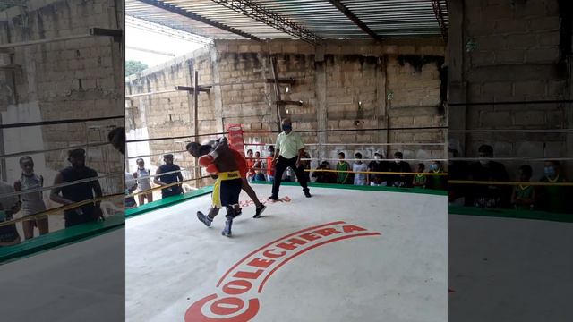 3ra pelea profesional Johan Segura смотреть онлайн