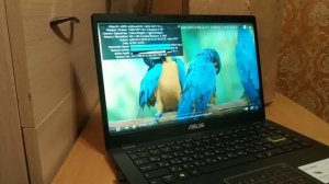 ASUS E410me Laptop ("короткий" обзор)