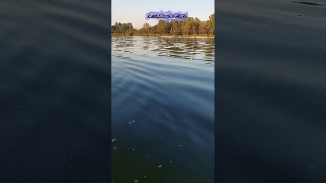 Безымянное озеро, любимое место отдыха петербужцев смотреть онлайн