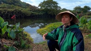 Рыбалка на реке в Японии. Рыбалка на крупного карпа на поплавок.