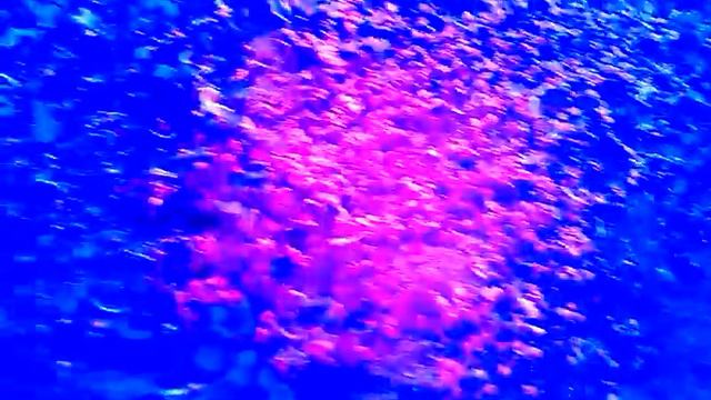 Витабокс 5й День вечер смотреть онлайн