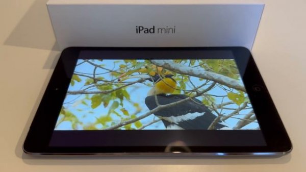 iPad mini 2 честный обзор , для чего подойдет ? Еще актуален?