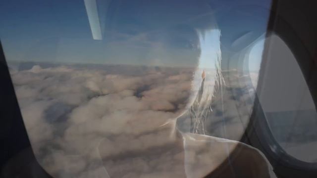 Перелёт из Москвы в Испанию S7 с кошкой и собакой. Тихон и Шанти ?? ✈️ смотреть онлайн