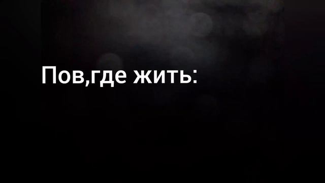 женская версия Винди выбирает [где жить] -оригинал мем смотреть онлайн