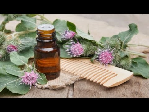 Усадьба на Кубани С лёгкой руки