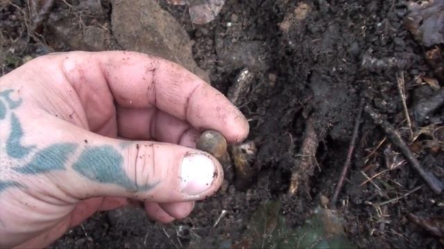 ПОИСК МОНЕТ И КЛАДОВ КАМЕНОЛОМНИ О КОТОРЫХ НИКТО НИЧЕГО НЕ ЗНАЛ SEARCH QUARRIES IN THE FOREST смотреть онлайн