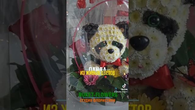 Панда из живых цветов. Цветочная композиция. Букет игрушка из цветов - идея подарка! Flower panda смотреть онлайн