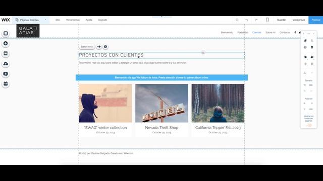CÓMO CREAR UN PORTFOLIO WEB | Desiree Delgado