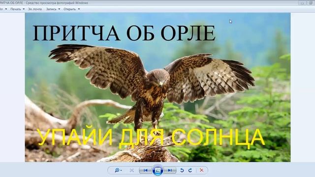 Притча об орле. Упайи для солнца смотреть онлайн