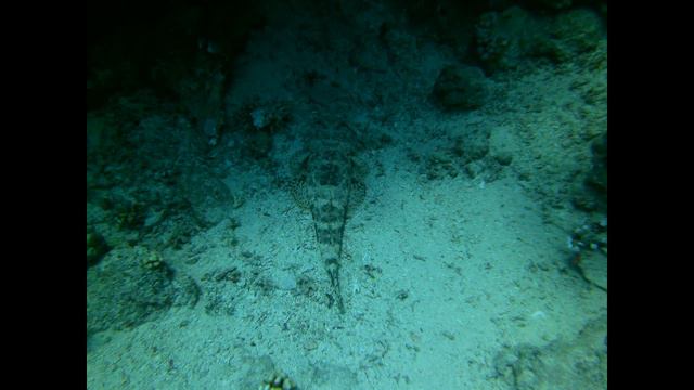 Дайвинг Красное море смотреть онлайн