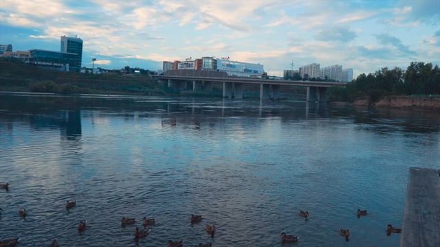 Остров Татышев. Где можно покормить Уток и Сусликов в городе. Красноярск. смотреть онлайн