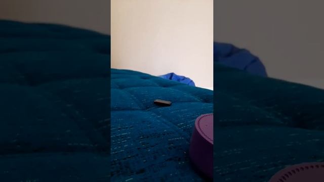 обзор что внутри алисы смотреть онлайн